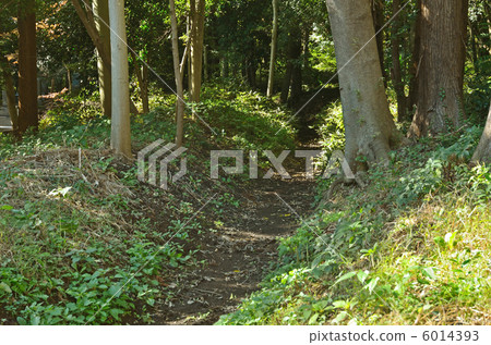 走在武藏野·Hirayashiji寺附近的區域 走在武藏野·Hirayashiji寺附近的區域 6014393