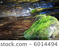 在清澈的溪流中曬太陽的苔蘚岩石1 6014494