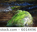 在清澈的溪流2中生長的苔蘚岩石 6014496