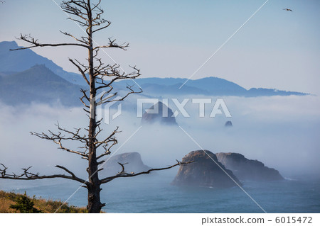 Ocean coast Ocean coast 6015472