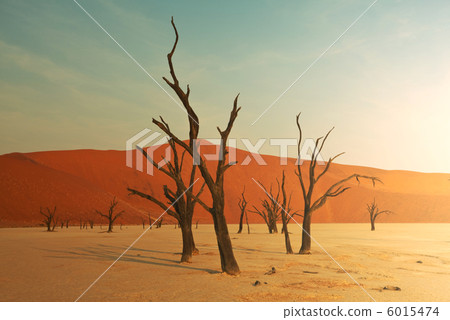 Namib 6015474