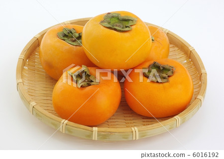 persimmon 6016192