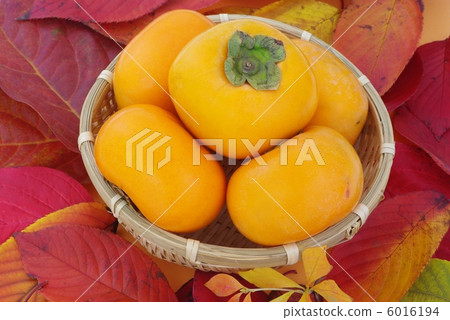 Autumn taste persimmon 6016194