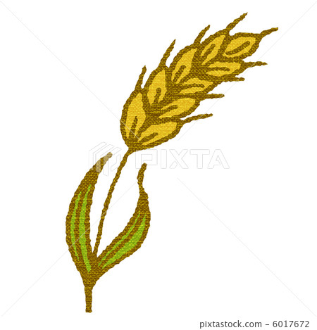Barley Barley 6017672
