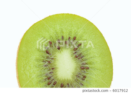 Kiwi fruit	 6017912