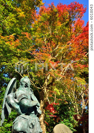 Takao Yakuin 6018043