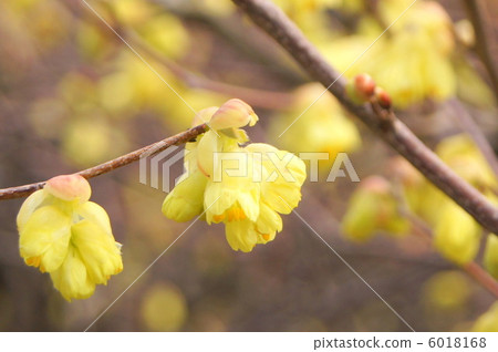 Hyuga mizuki（Hyuga mizuki） 6018168