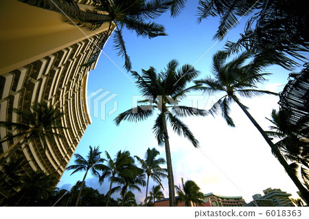 Hawaii 6018363