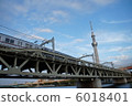 天空樹 6018401
