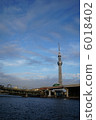 天空樹 6018402