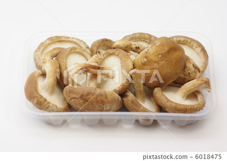 Shiitake 6018475