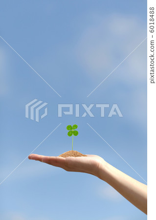 Clover in blue sky 6018488