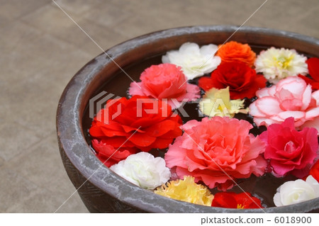 Floating flowers 6018900