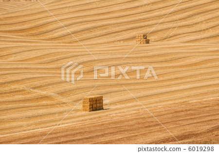 typical tuscan landscape typical tuscan landscape 6019298