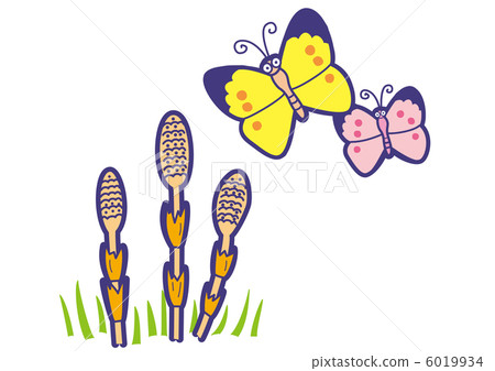 Hobby and butterfly 6019934