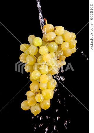 Grape with waterdrops isolated on black Grape with waterdrops isolated on black 6020168