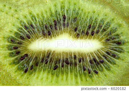 Macro background from green kiwi slice Macro background from green kiwi slice 6020182