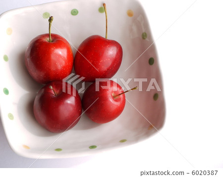 Princess of a dish Princess 6020387