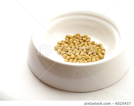 貓食 6020437