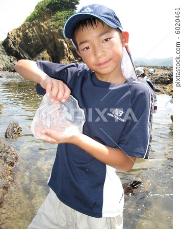 Natural aquarium 6020461