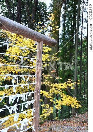 秋葉的Kawami Yakushiji 秋葉的Kawami Yakushiji 6020889