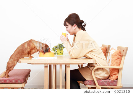 跳舞的小姐和臘腸犬 跳舞的小姐和臘腸犬 6021210