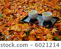 Scattered autumn leaves and tea Scattered autumn leaves and tea 6021214