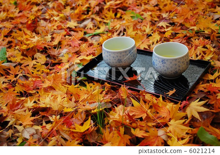Scattered autumn leaves and tea Scattered autumn leaves and tea 6021214