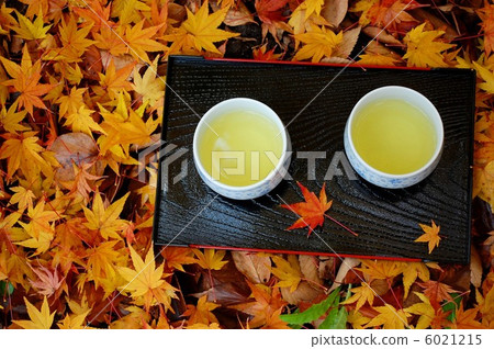 Scattered autumn leaves and tea 6021215