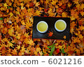 Scattered autumn leaves and tea Scattered autumn leaves and tea 6021216