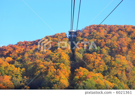 藏王索道 藏王索道 6021361