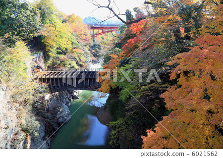 從Saruhashi看水橋 6021562