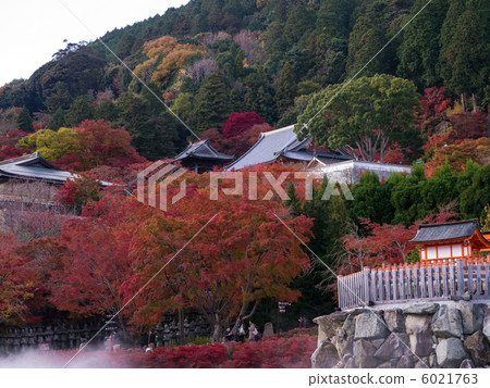 The view of the autumnal leaves of Katsuo-ji The view of the autumnal leaves of Katsuo-ji 6021763