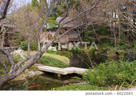 夏天塔花園 6022083