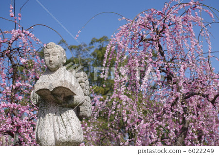 二宮金次郎的雕像和垂涎的李子 二宮金次郎的雕像和垂涎的李子 6022249