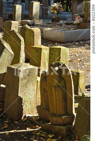Walking Musashino / Cemetery Hirin Walking Musashino / Cemetery Hirin 6022309