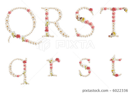 Decoration letter (plum blossom) QRST Decoration letter (plum blossom) QRST 6022336