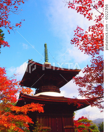 Jangoko-ji Temple with autumn leaves and multi-treasure Jangoko-ji Temple with autumn leaves and multi-treasure 6022366