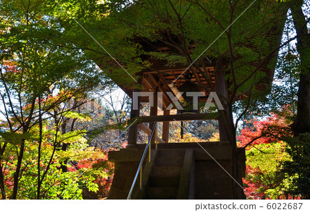 步行武藏野·鐘樓Hirin寺 步行武藏野·鐘樓Hirin寺 6022687
