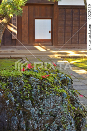 步行武藏野/ Hirin 步行武藏野/ Hirin 6022689