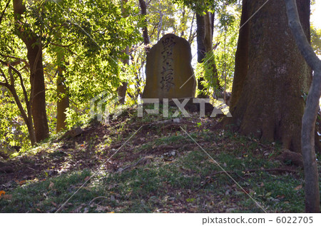走在Musashino / Nonfiring Mound Hirin Temple 走在Musashino / Nonfiring Mound Hirin Temple 6022705