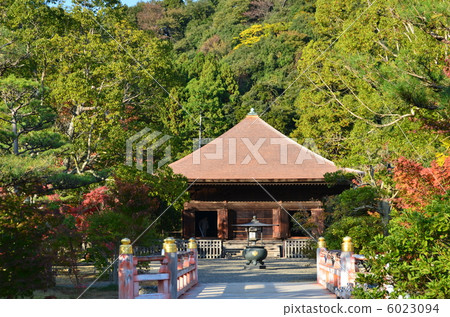 白水Amidado 6023094