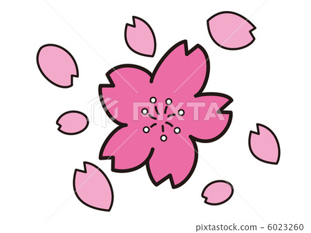 Cherry blossoms and flower petals Cherry blossoms and flower petals 6023260