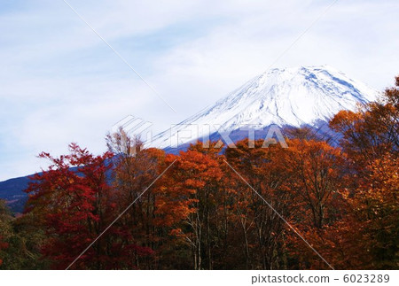Background material · Crown Snow Fuji Leaves on the left side of the ridge line Forest of autumn leaves · Horizontal position postcard ratio 6023289