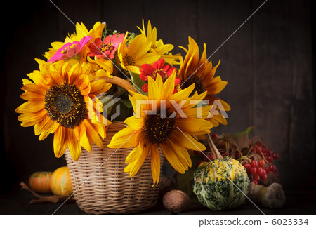 Still life in colours of autumn Still life in colours of autumn 6023334