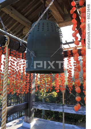 Bell tower of Matsudoji temple and dried persimmon 6023646