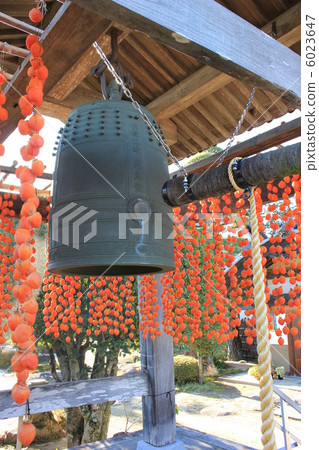 Bell tower of Matsudoji temple and dried persimmon 6023647