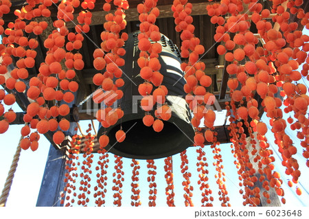 Bell tower of Matsudoji temple and dried persimmon 6023648