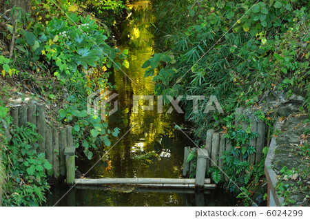 走向武藏野·用於點火的水流 走向武藏野·用於點火的水流 6024299