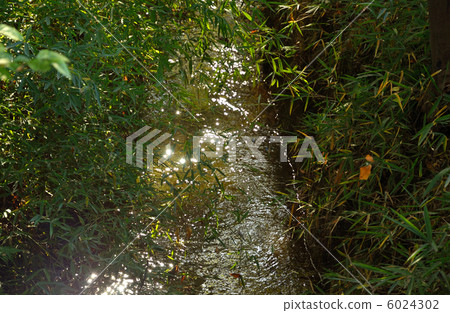 走向武藏野·用於點火的水流 6024302